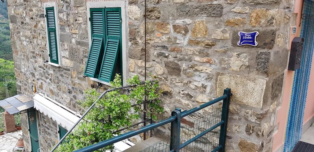 Casa Violetta contacts