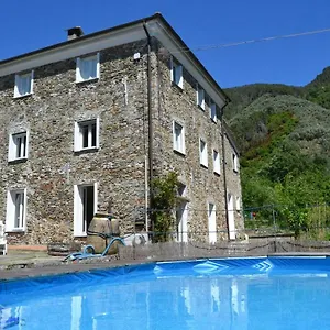 Nespolo Levanto